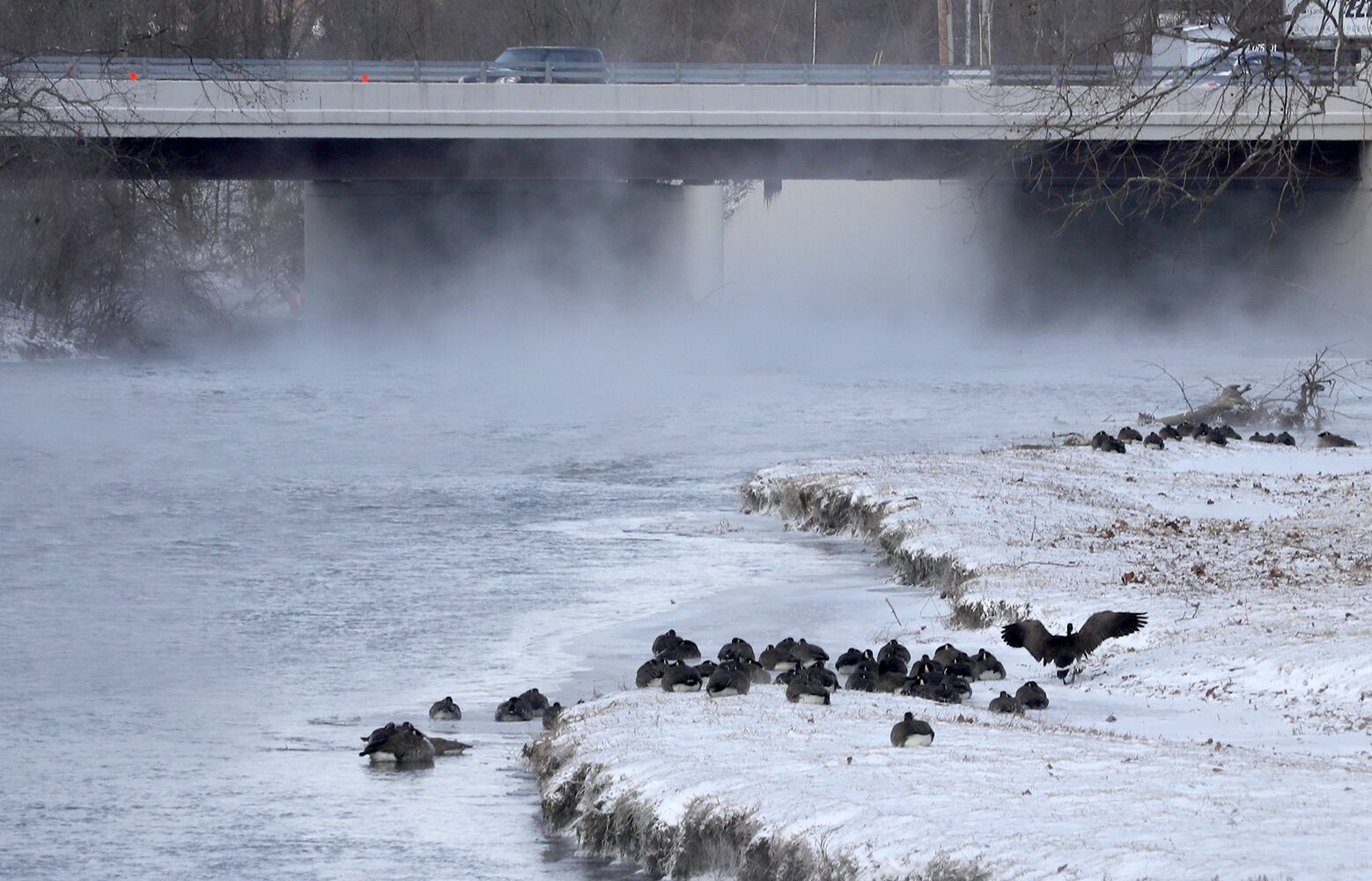 Frigid Temperatures in Springfield