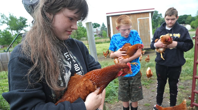 Savannah Vodnar holds one of the chickens that she and the other participants in the On-The-Rise program are raising on the organization's North Hampton farm Thursday, May 26, 2022. In the background are fellow participants Shane Baker, left, and Breydan Coberly. On-The-Rise is celebrating 20 years of helping at-risk kids in the Clark County area by giving them purpose and life skills to succeed. BILL LACKEY/STAFF
