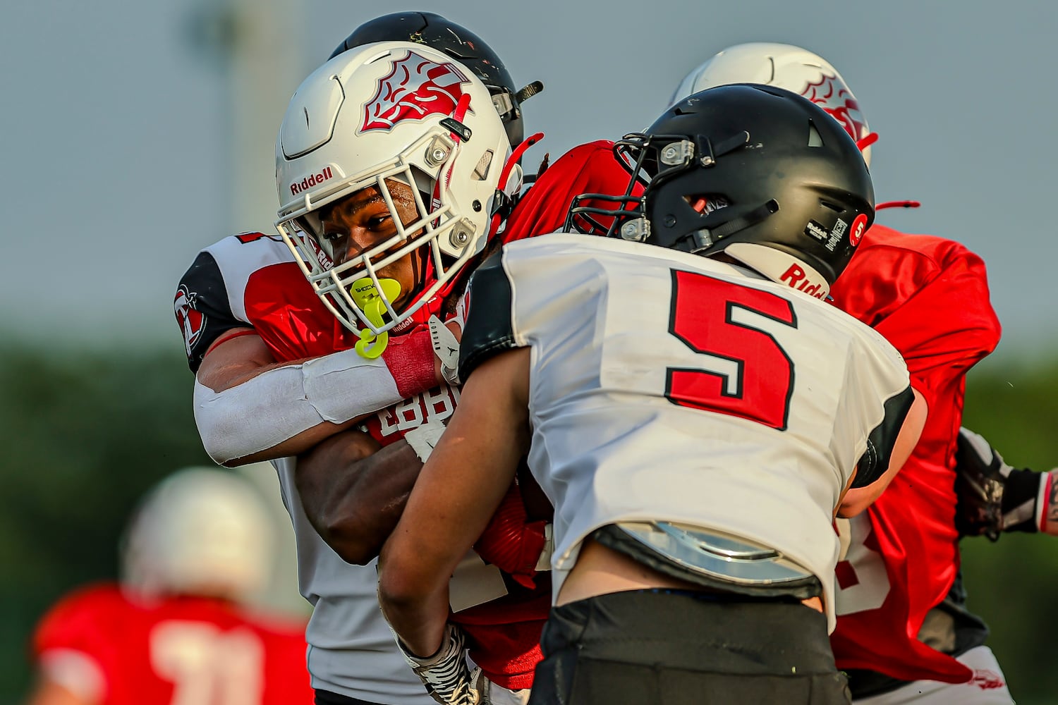 stebbins tecumseh hsfb