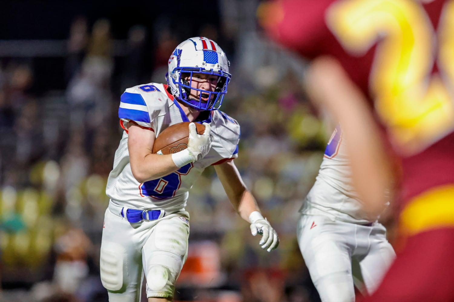 northeastern greeneview hsfb