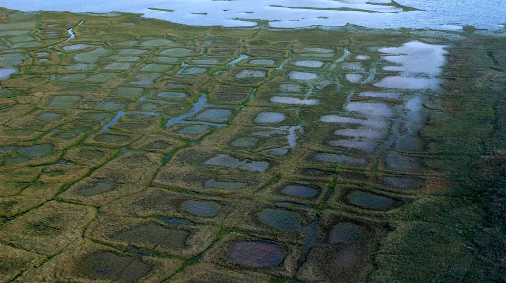 FILE - In this undated photo provided by the United States Geological Survey, permafrost forms a grid-like pattern in the National Petroleum Reserve-Alaska managed by the Bureau of Land Management on Alaska's North Slope. (David W. Houseknecht/United States Geological Survey via AP, File)