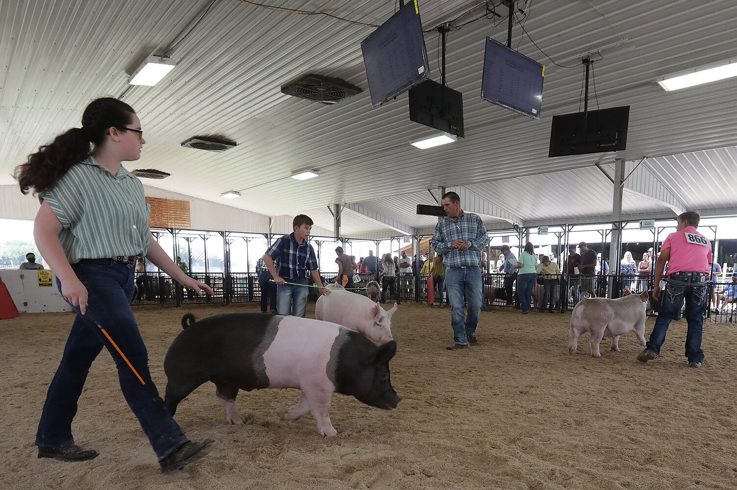 Champaign County Fair