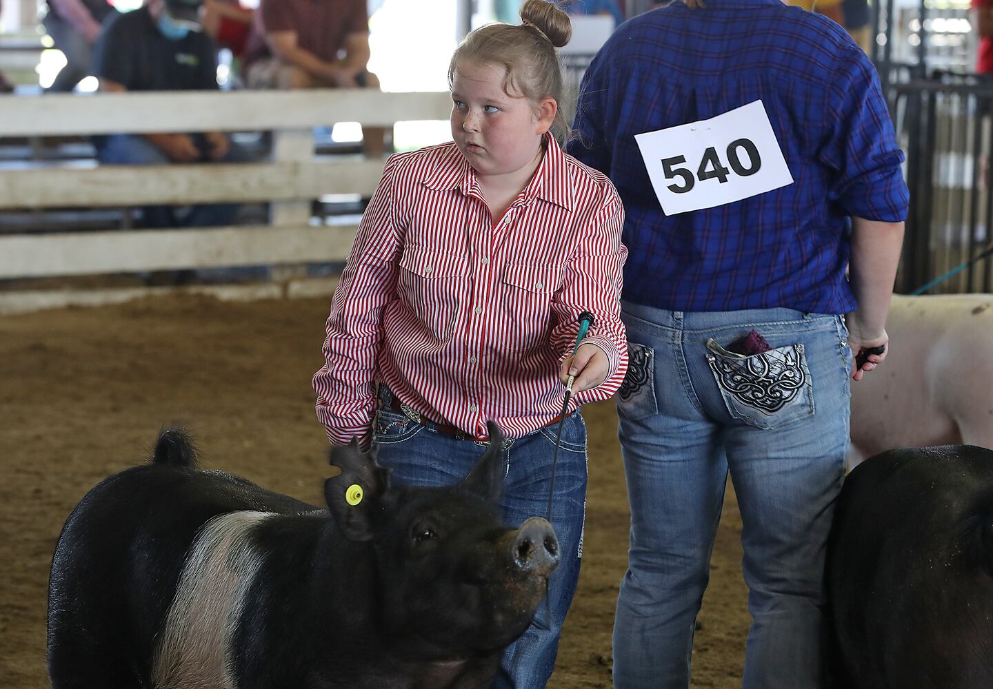 Clark County Fair