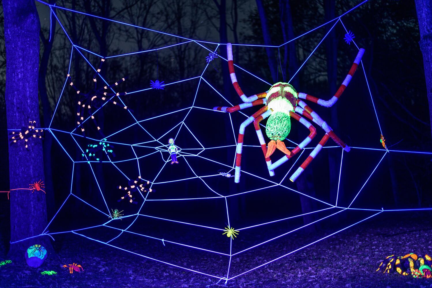 PHOTOS: 2024 Pumpkin Glow at Caesar Ford Park
