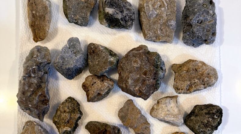 These were some of Dayton Daily News Editor Ashley Bethard's fossil and rock finds at Caesar Creek State Park. hours, we walked away with some really great finds. After cross-referencing the fossils with the Caesar Creek fossil brochure and her own fossil guidebook, she was able to catalog several brachiopods, gastropods, cephalopods, bryozoans and a crinoid. CONTRIBUTED