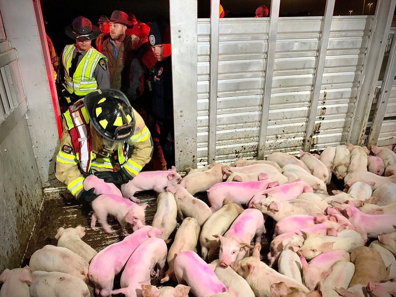 75-70 flyover piglet semi crash