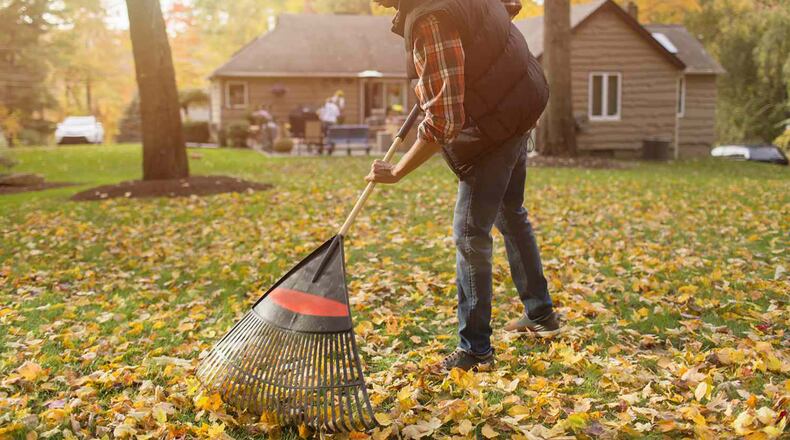 Raking leaves is a traditional activity in the fall. But rather than bag them and put them in landfills, consider putting them a home compost pile or simply mow over them to return nutrients to the soil.