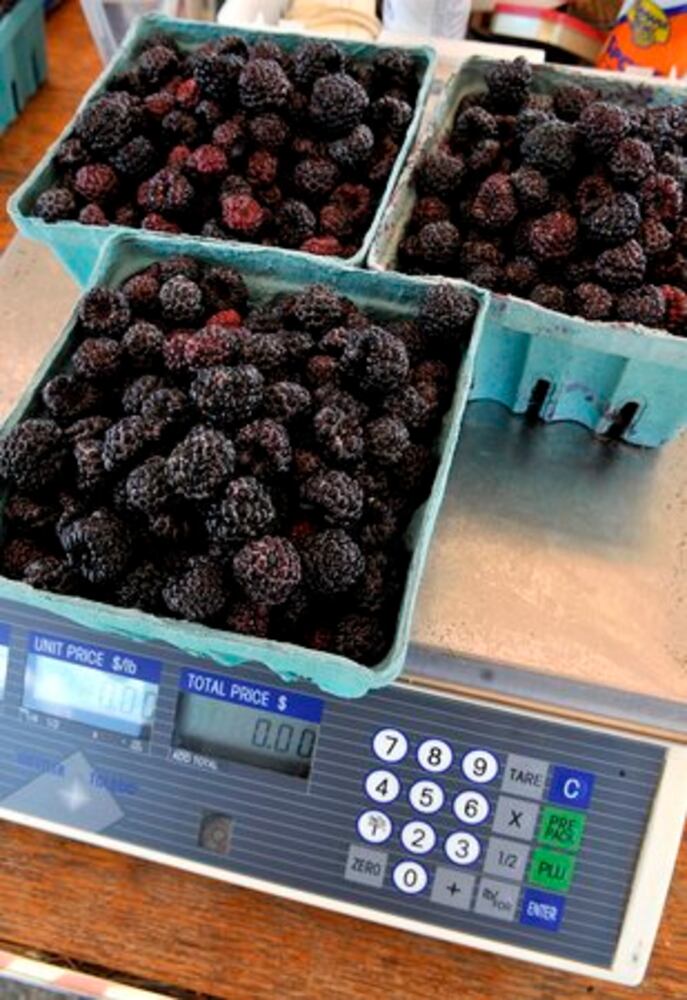 Berry Farm thrives in Champaign
