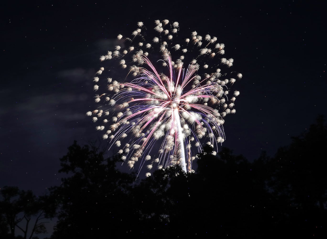 Springfield Fireworks SNS
