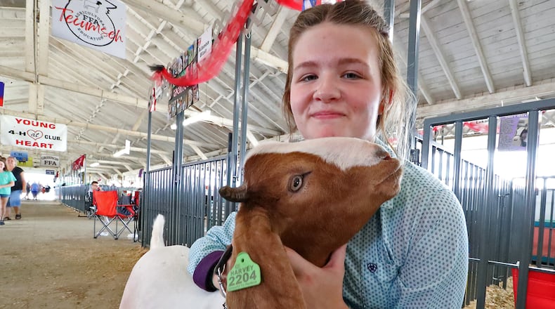 Kenzie Leigh, 15, with one of her goats Thursday, July 29, 2022 in the Goat Barn at the Clark County Fair. BILL LACKEY/STAFF