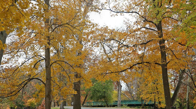 As the air gets cooler and days get shorter, the trees in the Clark County area have began to show their fall colors. With patches of bright reds and yellows mixed in with the green leaves, Mother Nature is letting us know that winter is on its way. BILL LACKEY/STAFF