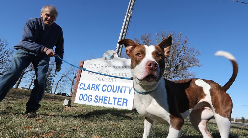 The Clark County Dog Shelter has been awarded a competitive grant worth over $19,000 from the Springfield Foundation. Photo taken in 2018. Bill Lackey/Staff