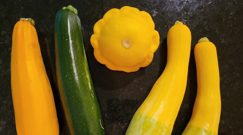 Squash is divided into two basic types, summer and winter, although seasonal distinction is no longer accurate because both types are now available year-round. Among the summer squash varieties, zucchini, with its mild flavor and cucumber-like appearance, is the most popular in the U.S. CONTRIBUTED
