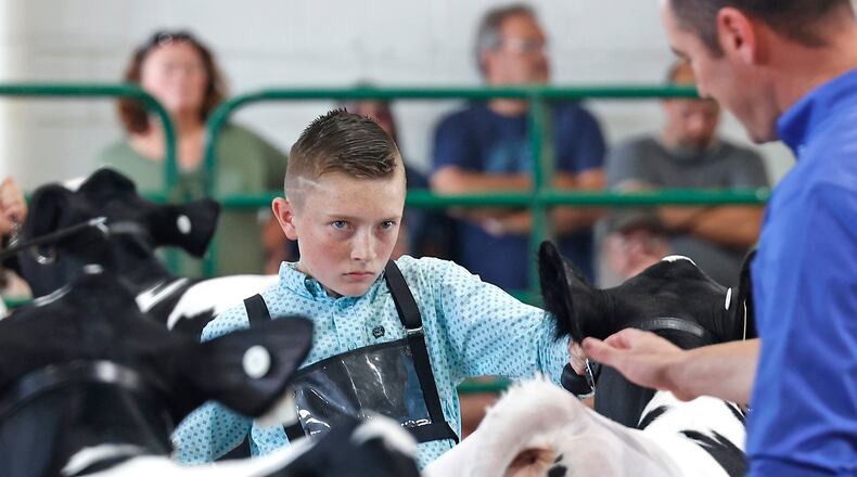 Austin Cox, 13, keeps his eyes on the judge as he shows his calf Sunday, July 21, 2024 at the Clark County Fair. BILL LACKEY/STAFF
