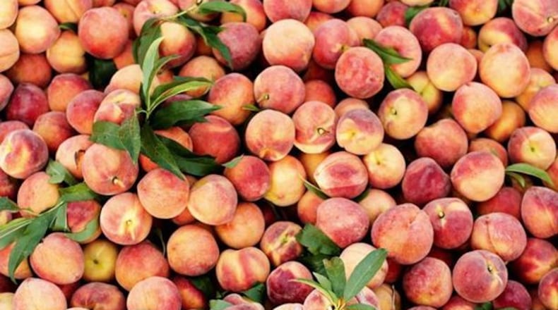 The Peach Truck will be at Meadow View Growers, 755 N. Dayton-Lakeview Road in New Carlisle from 2:30 to 4 p.m. on Wednesday, June 24 and at Rural King, 1476 Upper Valley Pike in Springfield from 3:30 to 5 p.m. on Thursday, June 25.