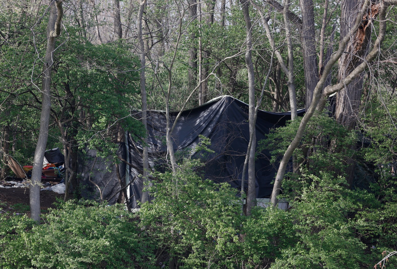 A homeless encampment in the woods on Tuesday, April 22, 2025, at Snyder Park. JOSEPH COOKE/STAFF