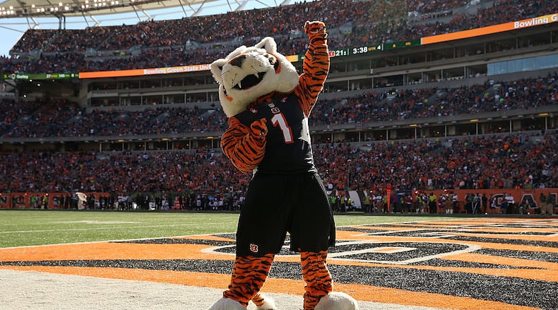 CINCINNATI, OH - OCTOBER 11:  The mascot for the Cincinnati Bengals dances on the sideline during the game between the Cincinnati Bengals and the Seattle Seahawks at Paul Brown Stadium on October 11, 2015 in Cincinnati, Ohio. Cincinnati defeated Seattle 27-24 in overtime. (Photo by Andy Lyons/Getty Images)