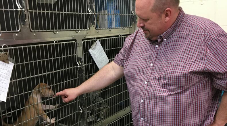 Roger Ganley, executive director of the Humane Society Serving Clark County, organized this Saturday’s Mutt Strut event. Pet adoptions from the Humane Society will be part of tje event. CONTRIBUTED