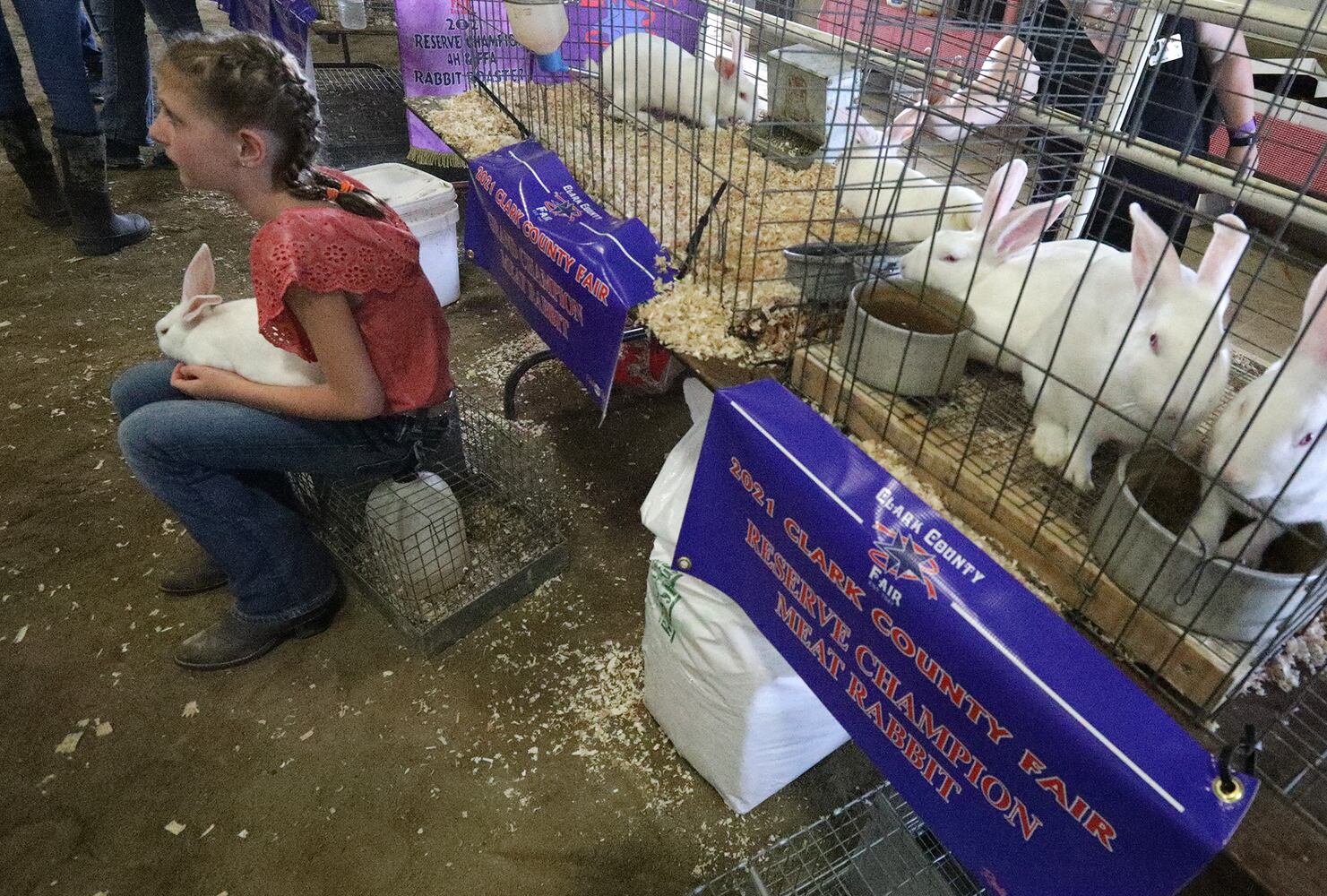 073121 Clark County Fair SNS