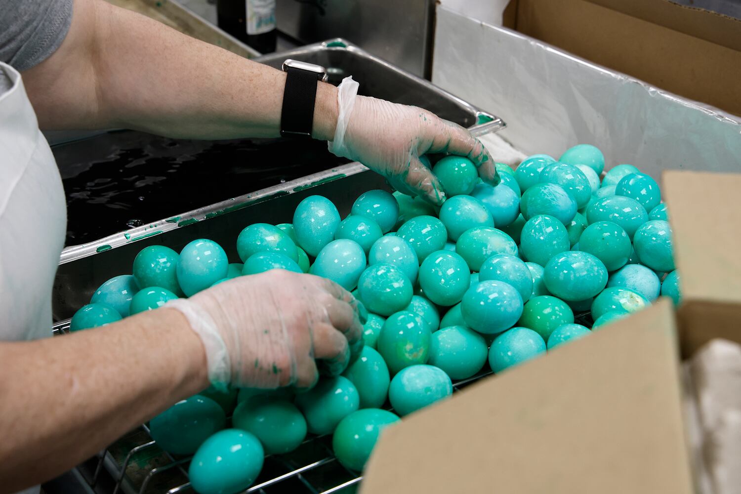 Egg Coloring SNS