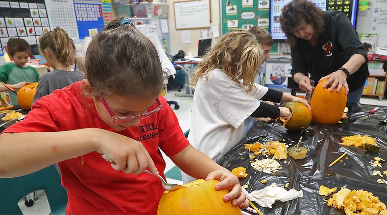 Clark and Champaign school districts reported 71 new coronavirus cases. Here, Becky Carpenter's second grade class carved pumpkins and counted the seeds inside last month at Triad Elementary. BILL LACKEY/STAFF