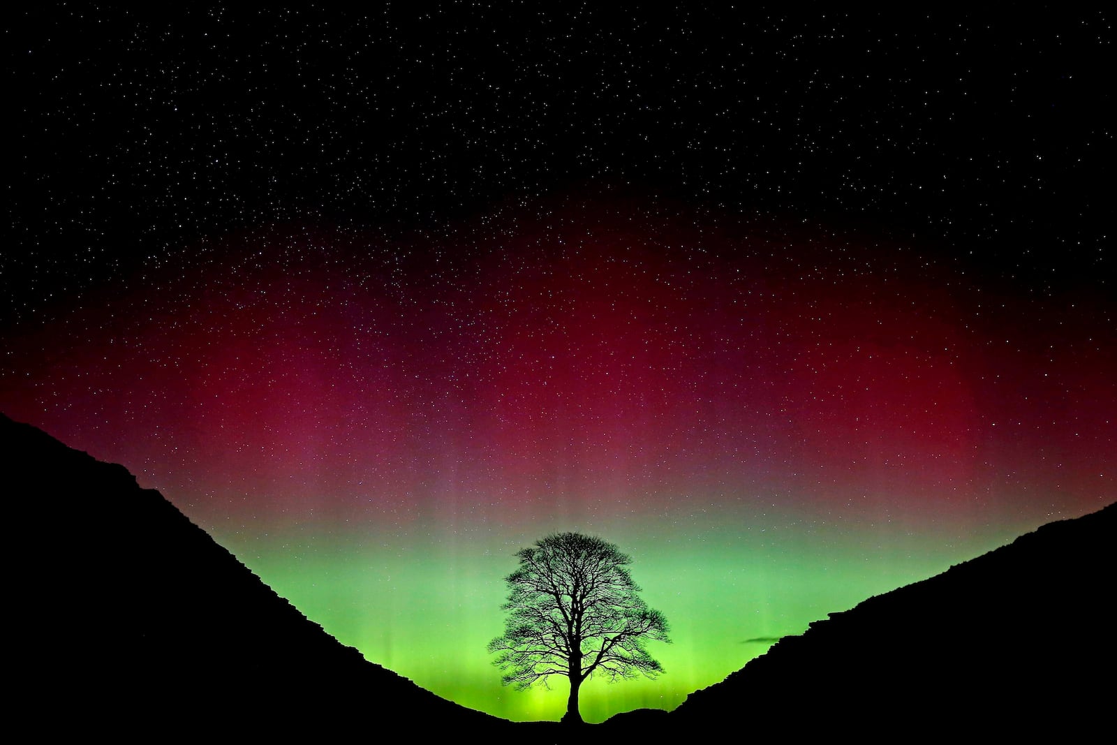 FILE - Northern Lights, or Aurora Borealis, shining over the Sycamore Gap tree, on Hadrian's Wall in Northumberland, England, July 3, 2016. (Owen Humphreys/PA via AP, File)