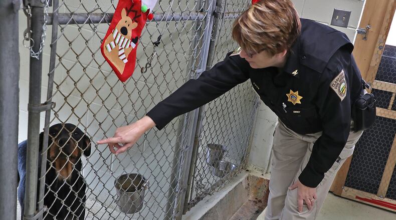Clark County Dog Warden Sandi Click talks to one of the dogs up for adoption at the Clark County Dog Shelter on Wednesday. BILL LACKEY/STAFF