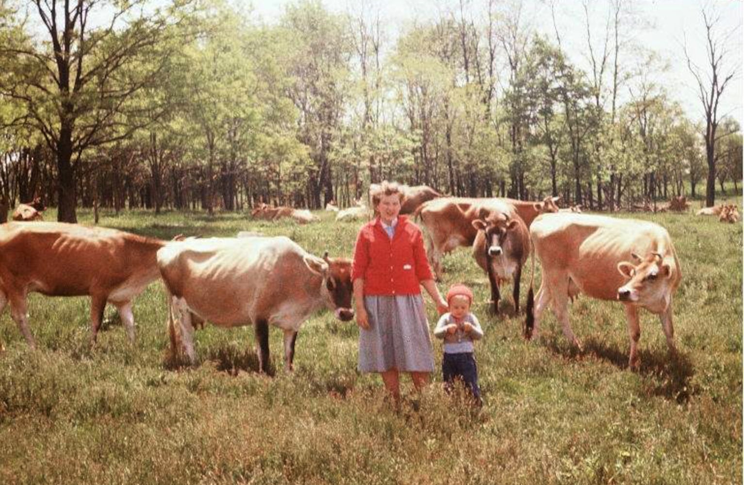 Young's Jersey Dairy