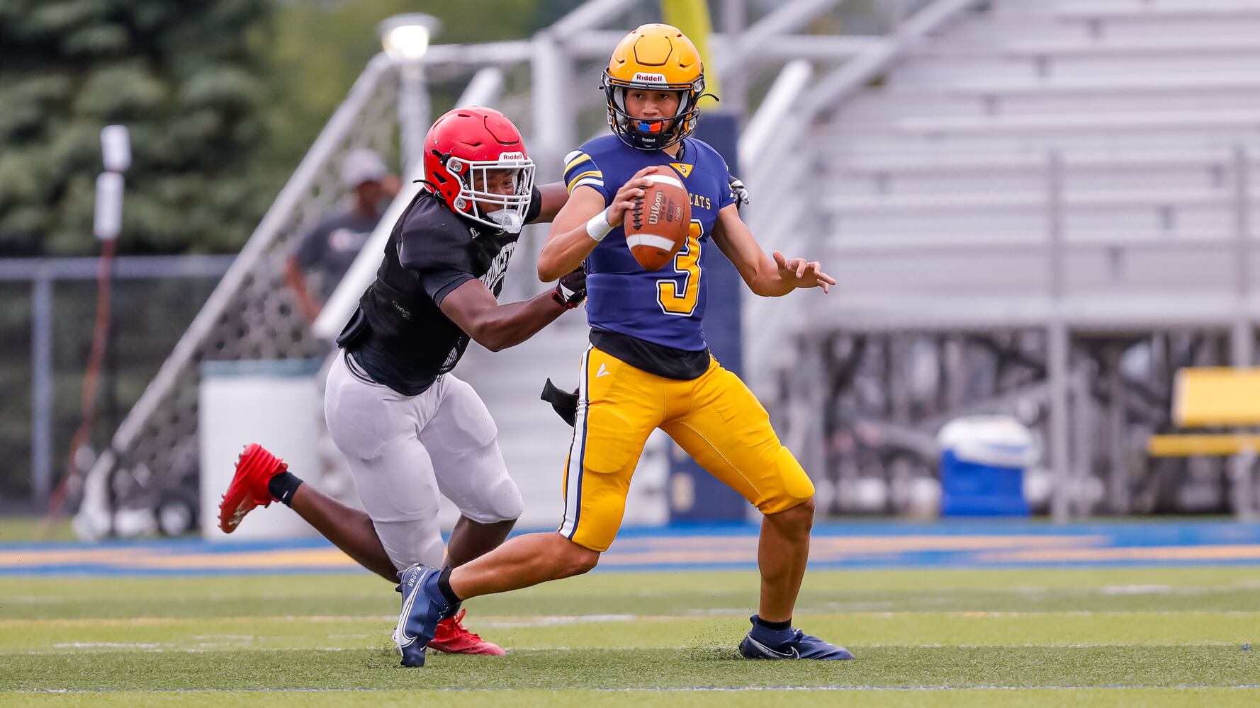 springfieldfb