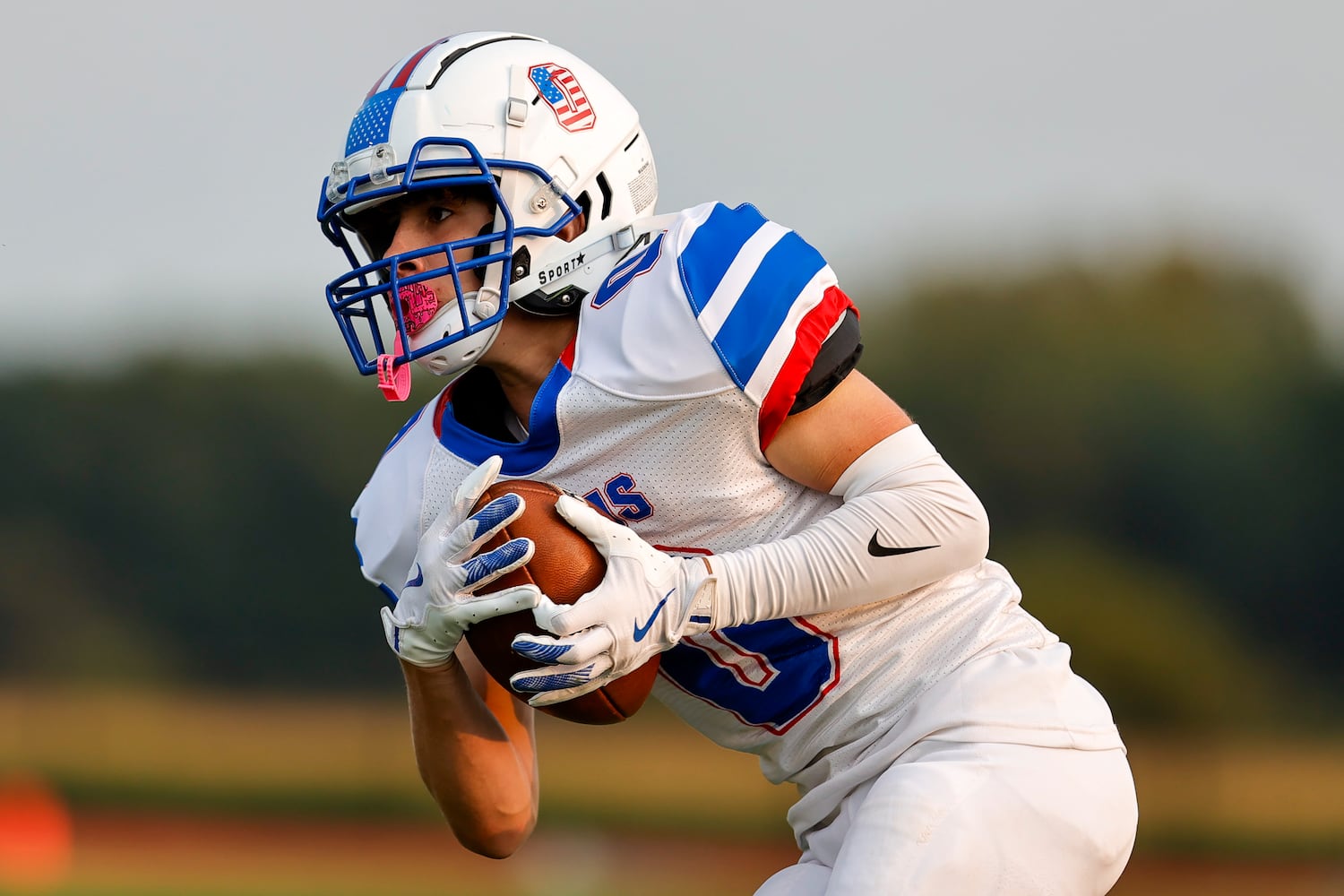 northeastern greeneview hsfb