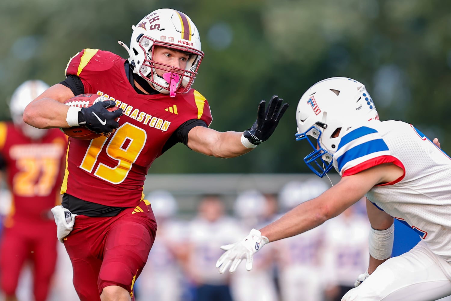 northeastern greeneview hsfb