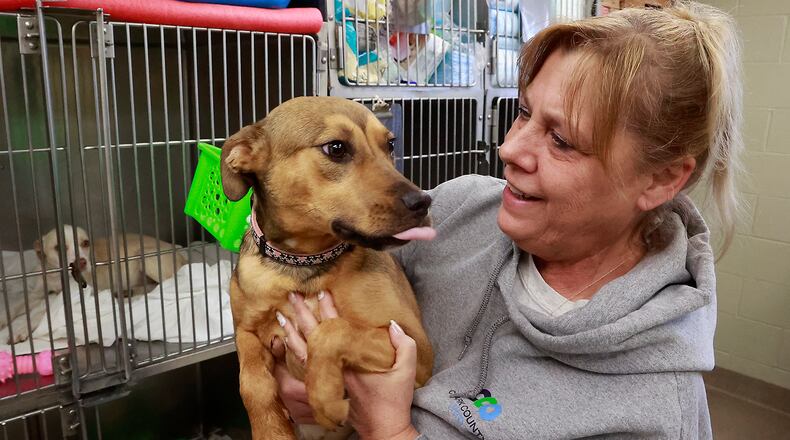 Amy Steiger plays with one of the puppies at the Clark County Dog Shelter Thursday, Dec. 22, 2022. BILL LACKEY/STAFF