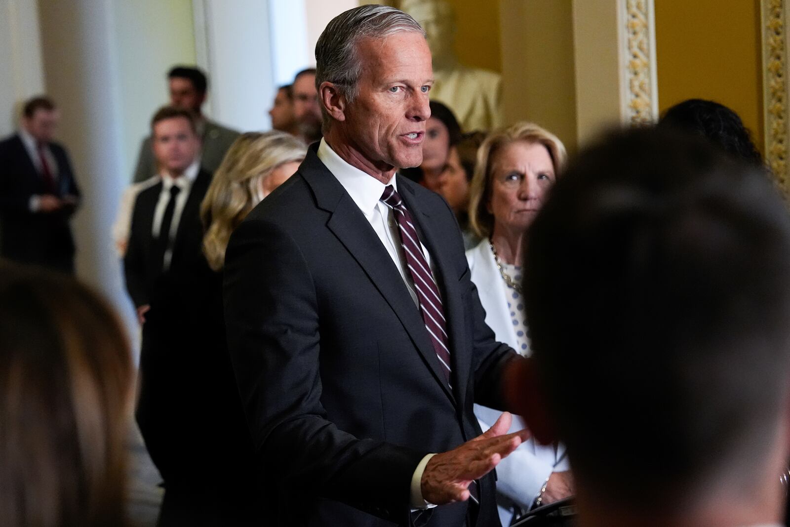 Senate Majority Leader John Thune, R-S.D., speaks to reporters at the U.S. Capitol, Tuesday, May 20, 2025, in Washington. (AP Photo/Julia Demaree Nikhinson)