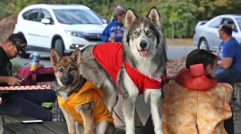 Two dog names and one dog breed were in the top most popular in both Clark and Champaign Counties. Here, dogs of all breeds and sizes were at National Trail Parks and Recreation's annual Yappy Howl-o-ween event last year. FILE/BILL LACKEY/STAFF