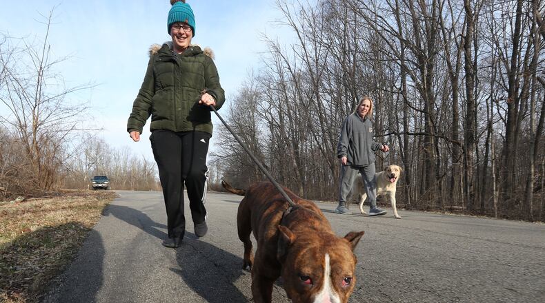 Ashley Harder, from the Clark County SPCA, walks Alice, one of the dogs from the SPCA shelter as Laurie Beard walks Soloman Thursday morning at George Rogers Clark Park during Walk With A Hound. Every third Thursday of the month people can contact the SPCA and ask to participate in Hike with a Hound. The then can take one of the dogs to the park for some exercise. BILL LACKEY/STAFF
