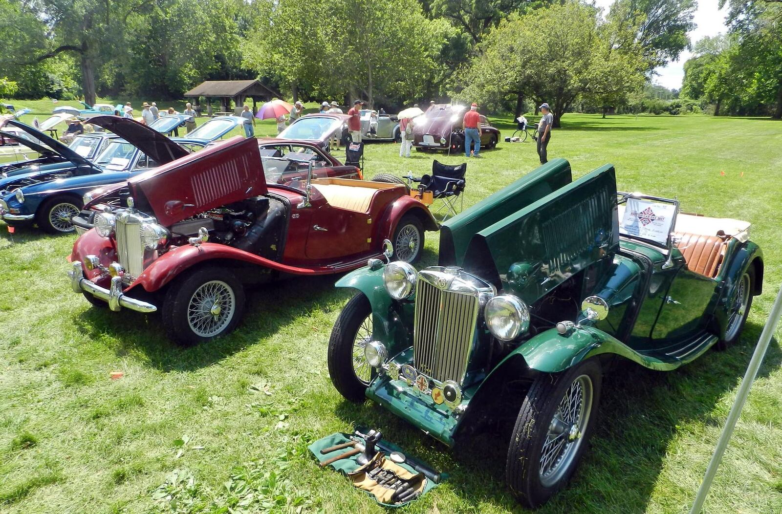 MG T series cars at British Car Day at Eastwood MetroPark . ©2017 Photo by Mike Edgerton