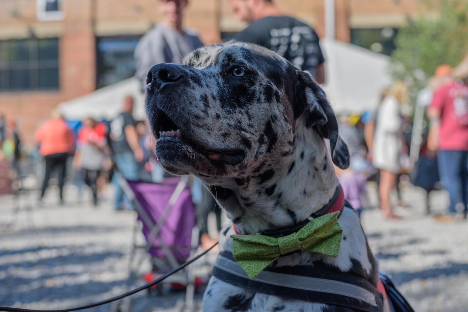 PHOTOS: Did we spot you keeping the Oktoberfest celebrations going this weekend?