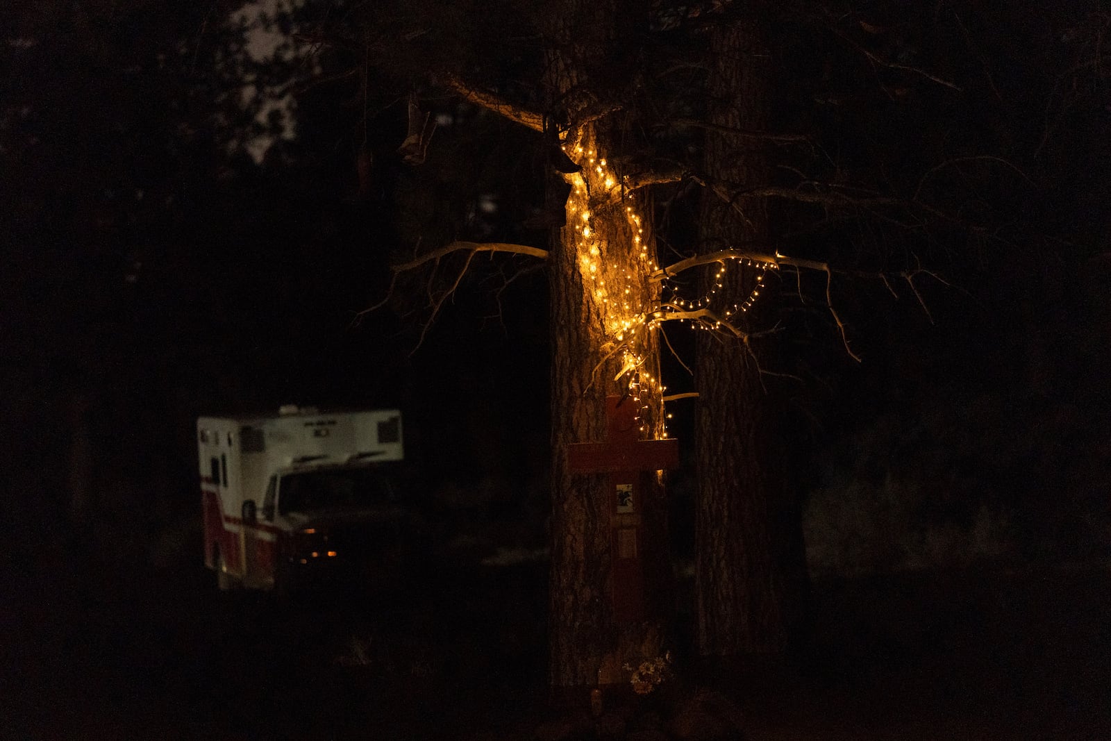 A string of lights hangs on a tree above a memorial at a homeless encampment in Deschutes National Forest Wednesday, April 30, 2025 near Bend, Ore. (AP Photo/Jenny Kane)