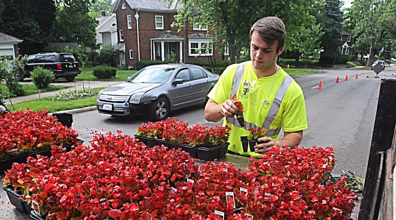 Nick Baker, an employee of the city of Oakwood, prepares 366 red petunias to be planted along Fall Hills Avenue on Monday. After a few cooler days today and Wednesday, heat will return and temperatures could reach the 90s next week. MARSHALL GORBY / STAFF