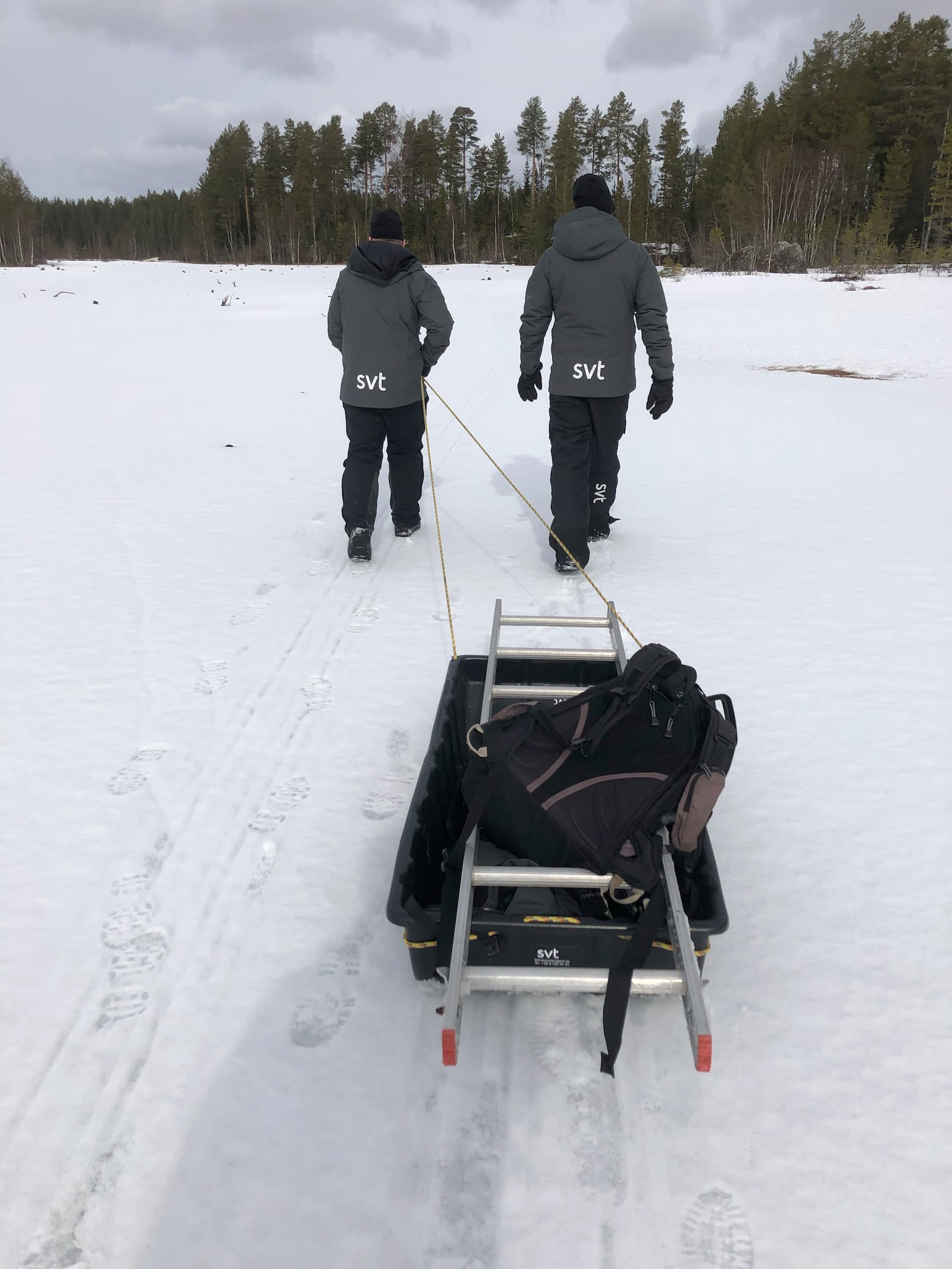 This undated photo, issued by SVT, shows preparations in Junsele, Sweden for the livestream 'The Great Moose Migration' to document the annual Moose migration near Kullberg in northern Sweden. (SVT via AP)