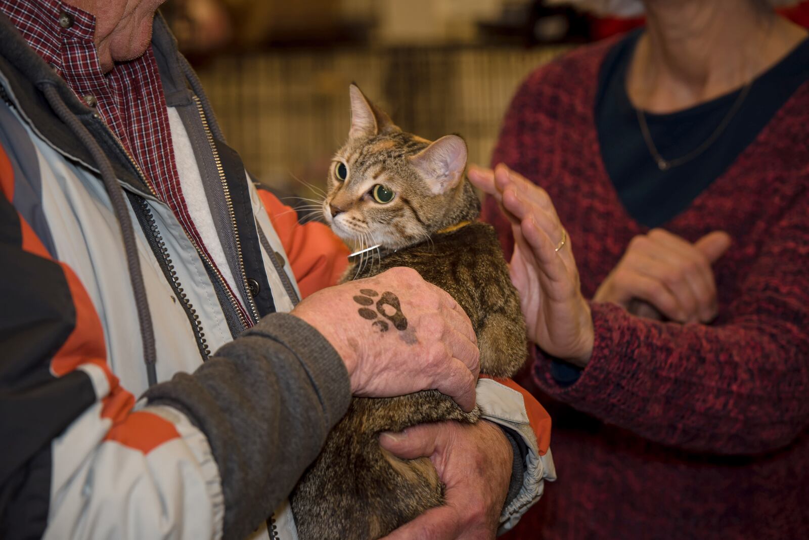 My Furry Valentine, the region’s largest animal adoption event, will host its first-ever summer event at the Sharonville Convention Center. The weekend-long event will feature hundreds of adoptable dogs, cats, puppies, kittens and other small critters from dozens of shelters and rescue organizations in the Greater Cincinnati area. CONTRIBUTED