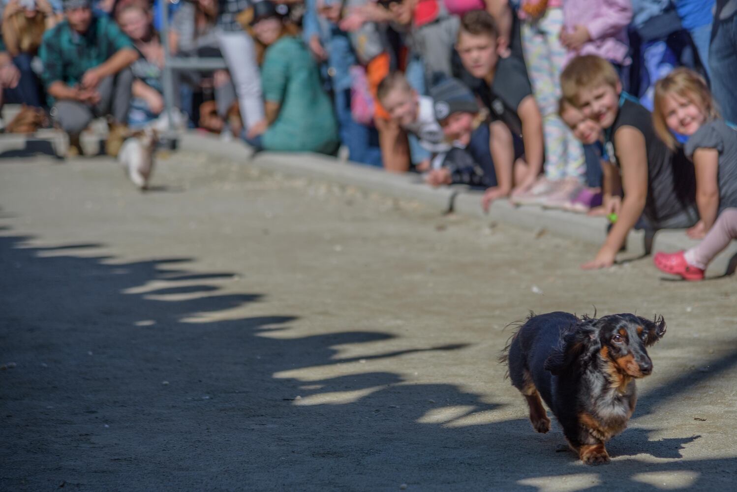PHOTOS: Did we spot you keeping the Oktoberfest celebrations going this weekend?