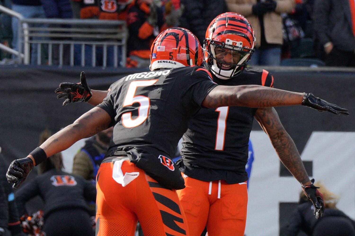 Browns Bengals Football