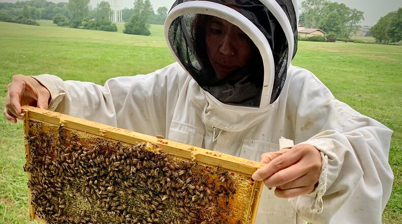 Hongmei Li-Byarlay, research assistant professor of entomology at Central State University, checks the frames at the bee hives Monday, June 19, 2023. MARSHALL GORBY\STAFF