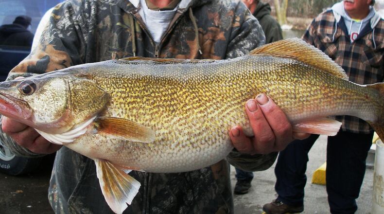 The county prosecutor’s office in Cleveland has opened an investigation into an apparent cheating scandal during a lucrative walleye fishing tournament on Lake Erie last week. Associated Press