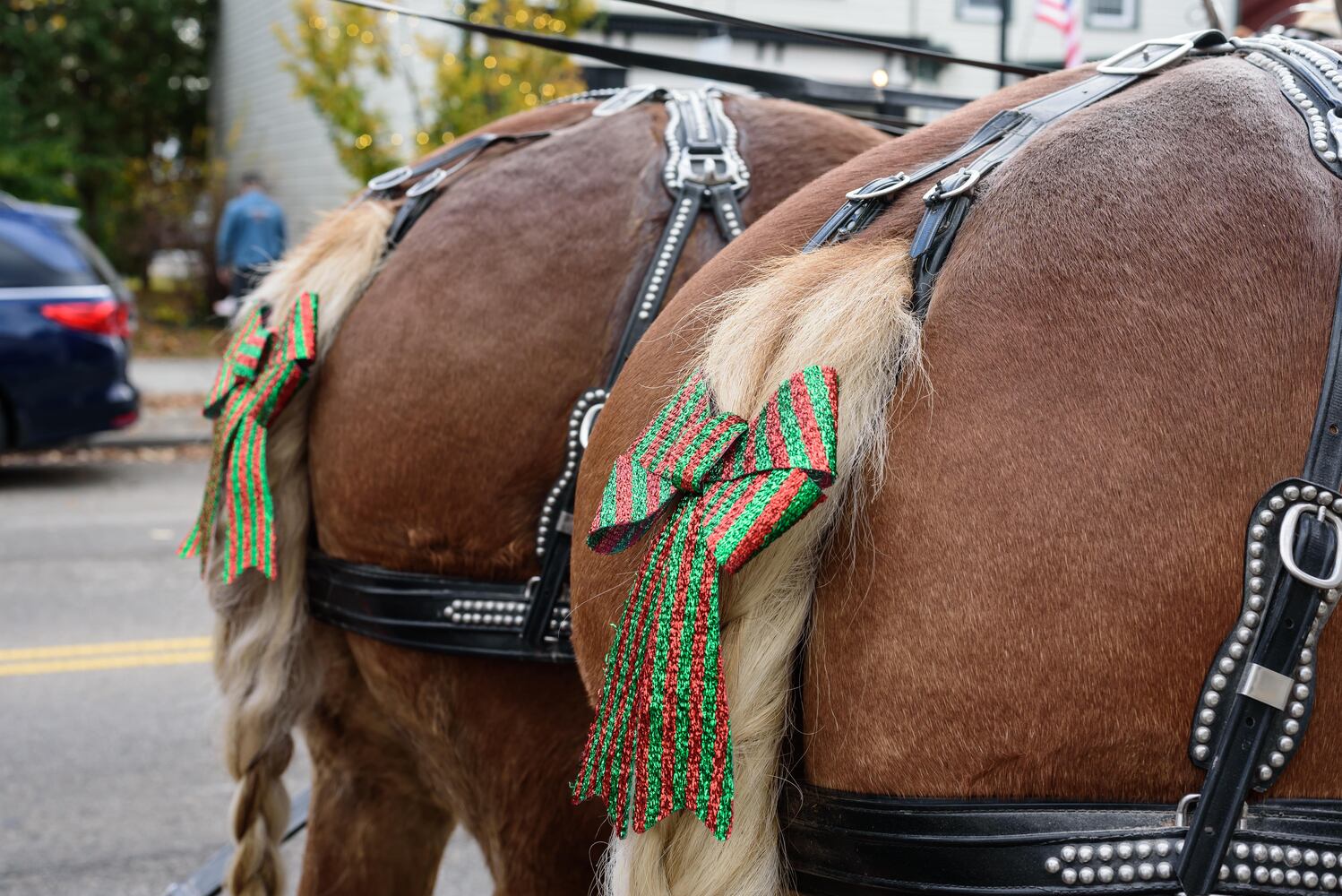 PHOTOS: 2024 Yuletide Winter’s Gathering in downtown Tipp City
