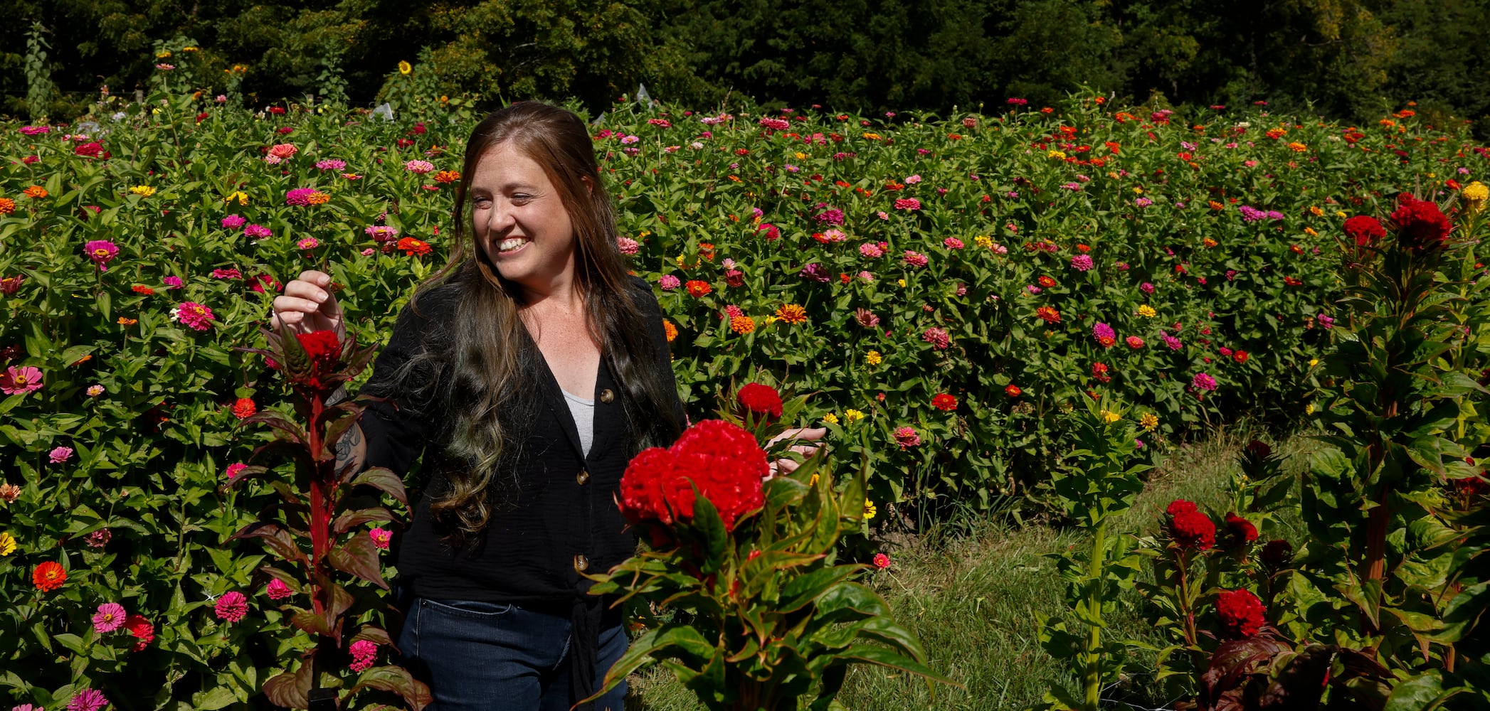 Bloomfield Farm's U-Pick Flower Farm 