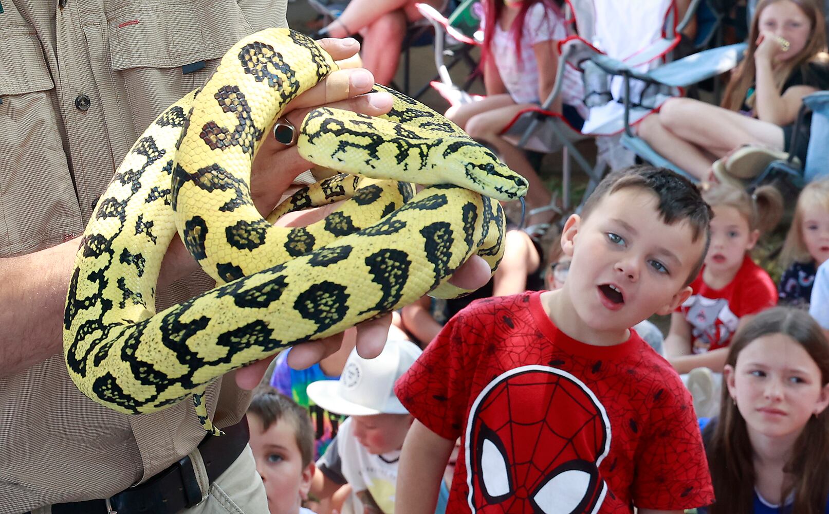 Reptile Show SNS