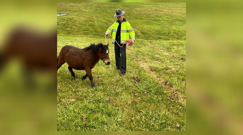 A trooper with the Springfield Post of the Ohio State Highway Patrol caught a miniature horse on Tuesday. Contributed/OSHP Facebook