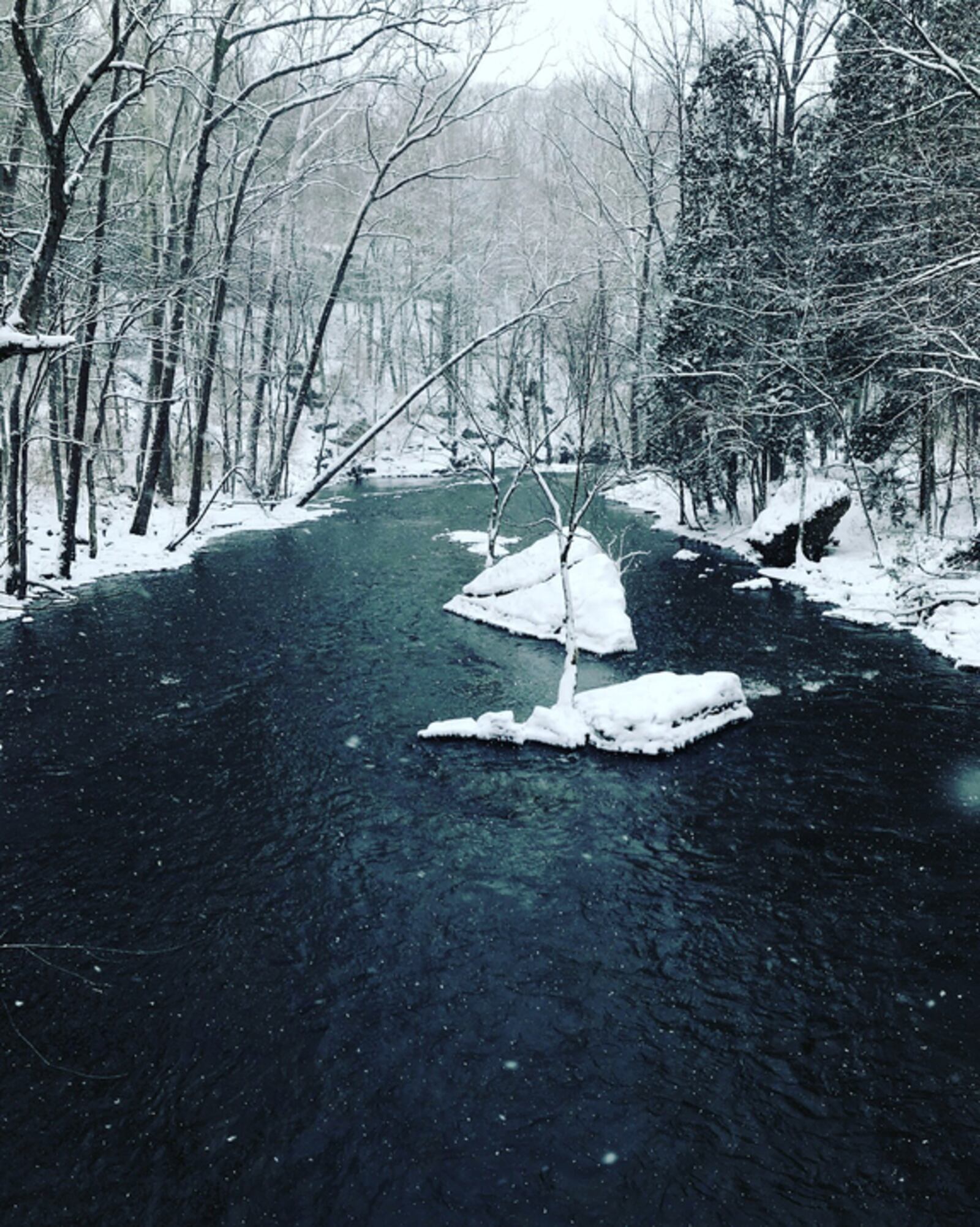 Clifton Gorge transforms into a true winter wonderland when temperatures drop low and snow fall is heavy.